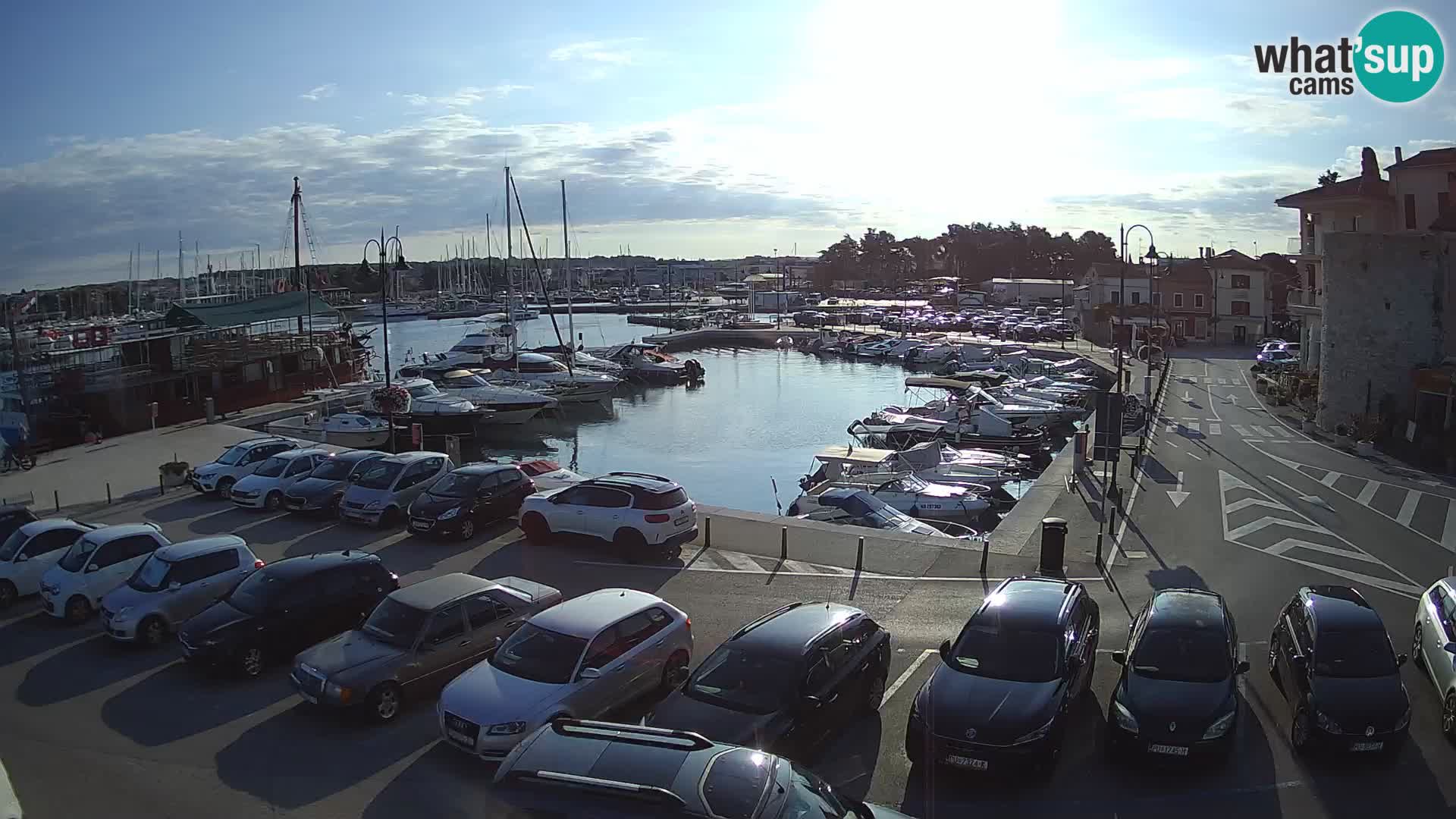 Novigrad | Porporela marina