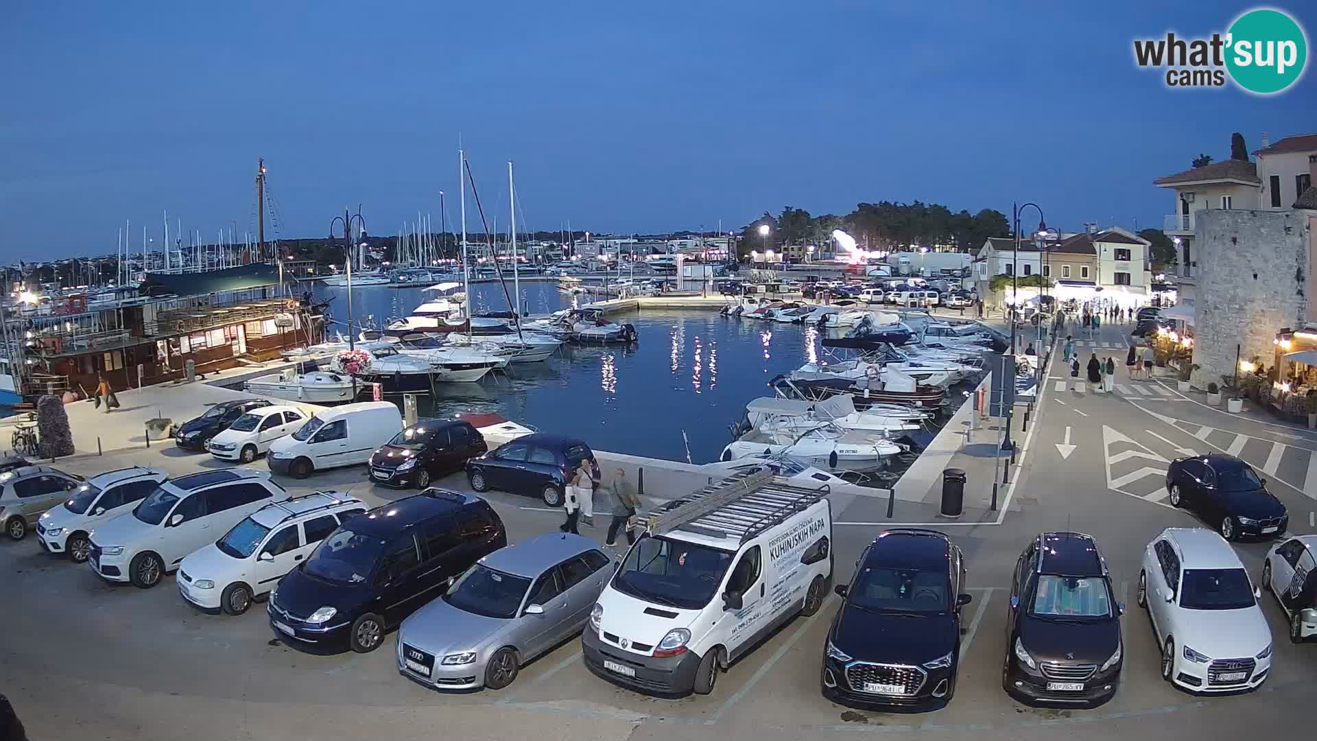 Novigrad | Porporela marina
