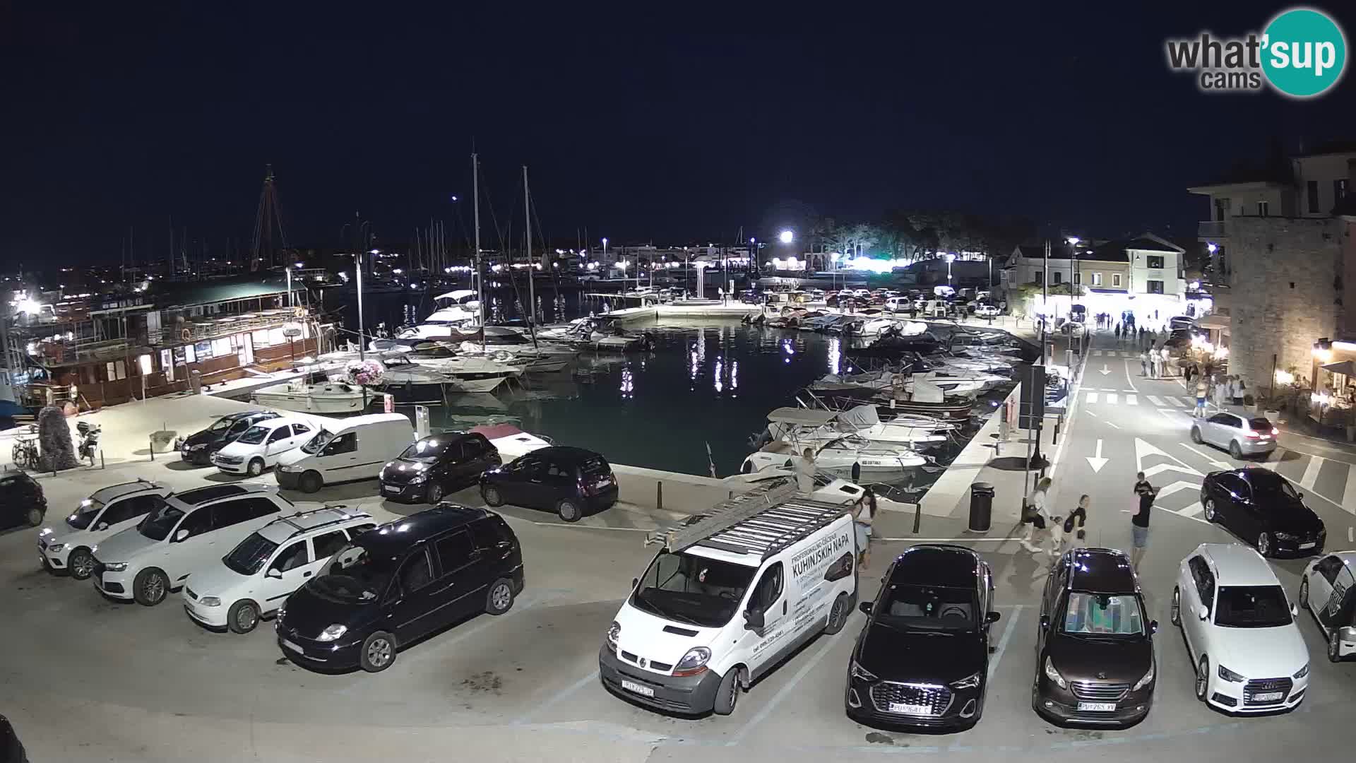 Novigrad | Porporela marina