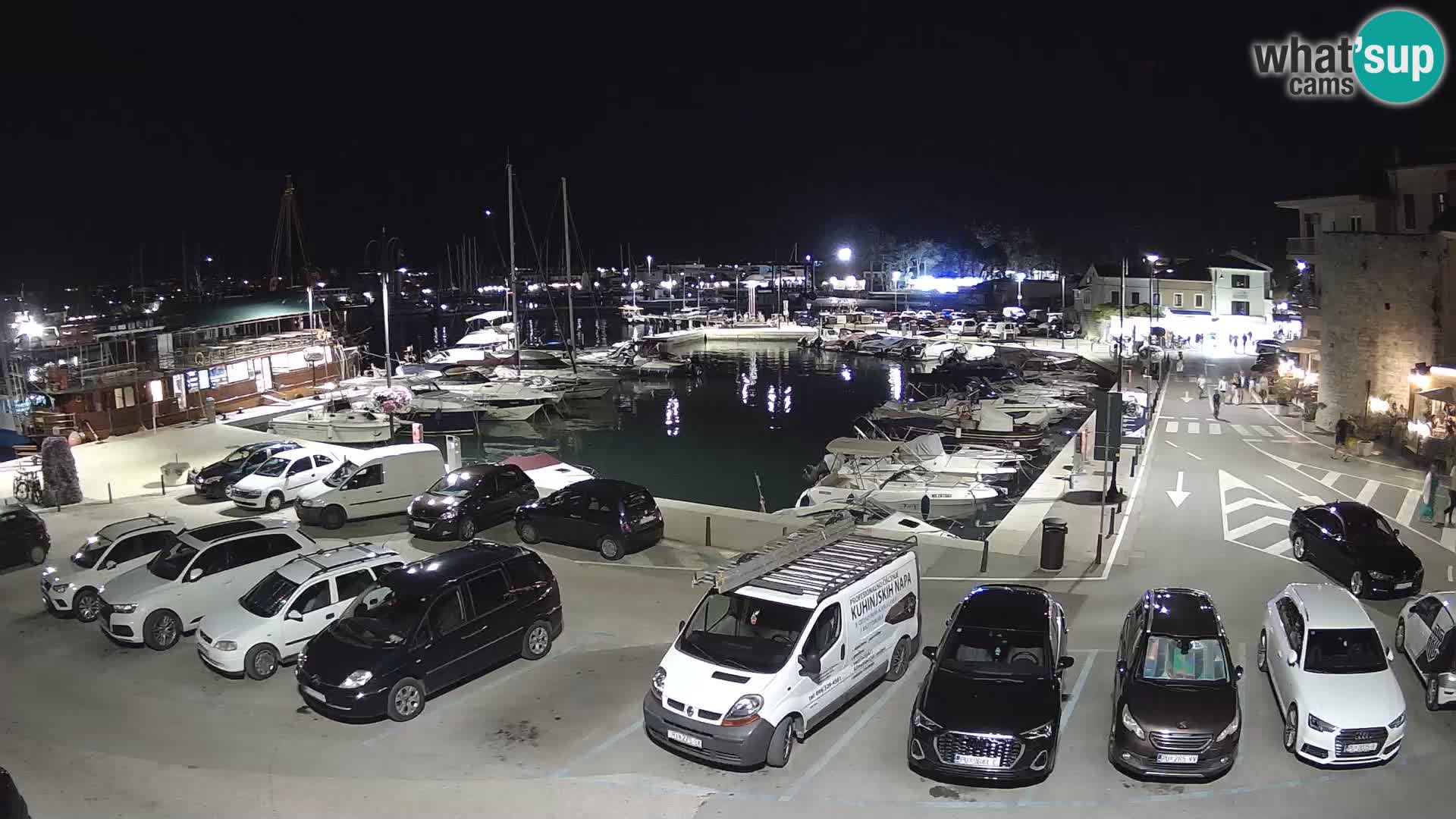 Novigrad | Porporela marina