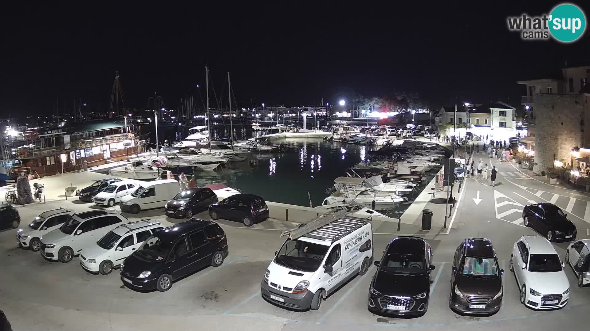 Novigrad | Porporela marina