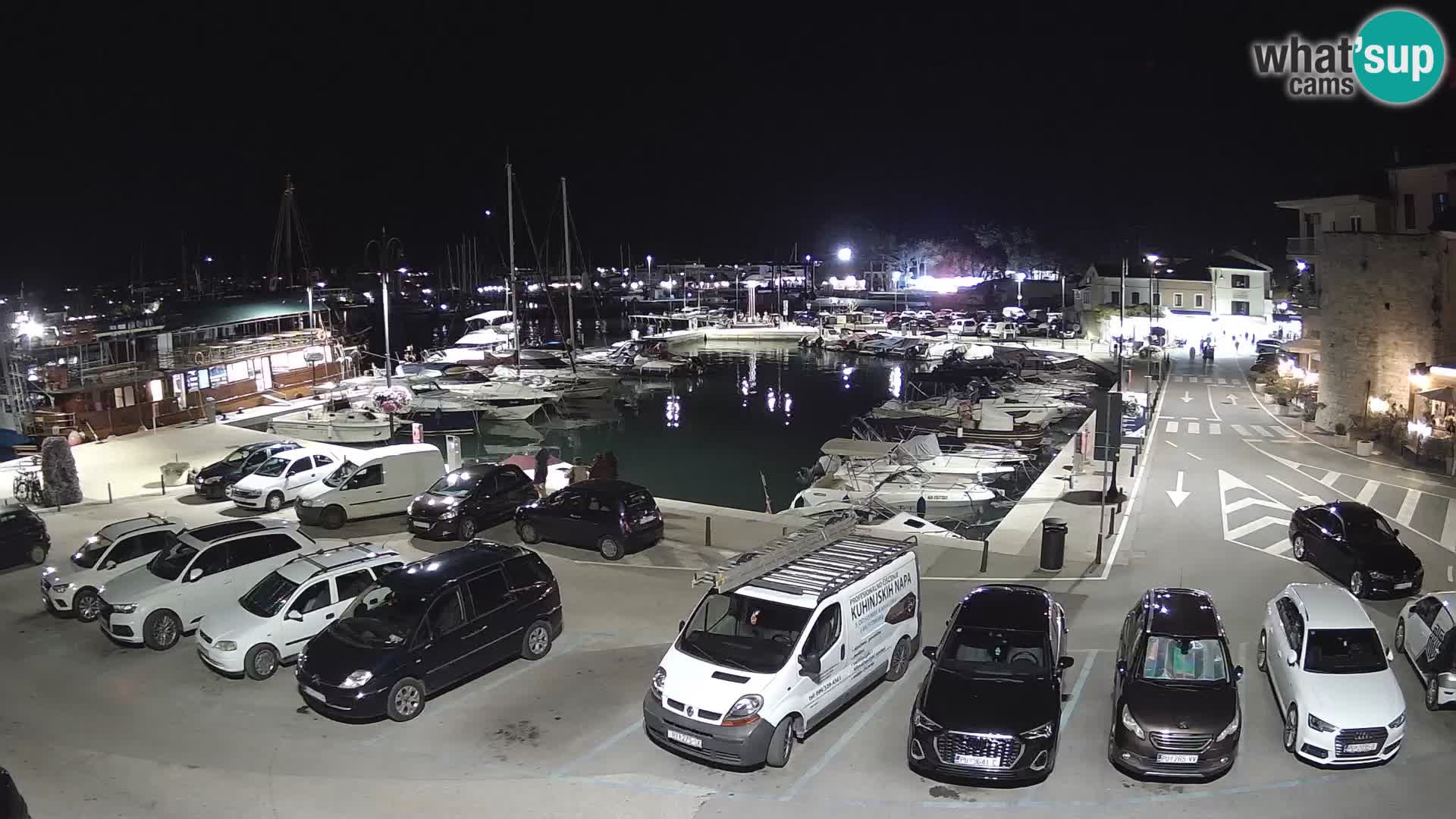Novigrad | Porporela marina