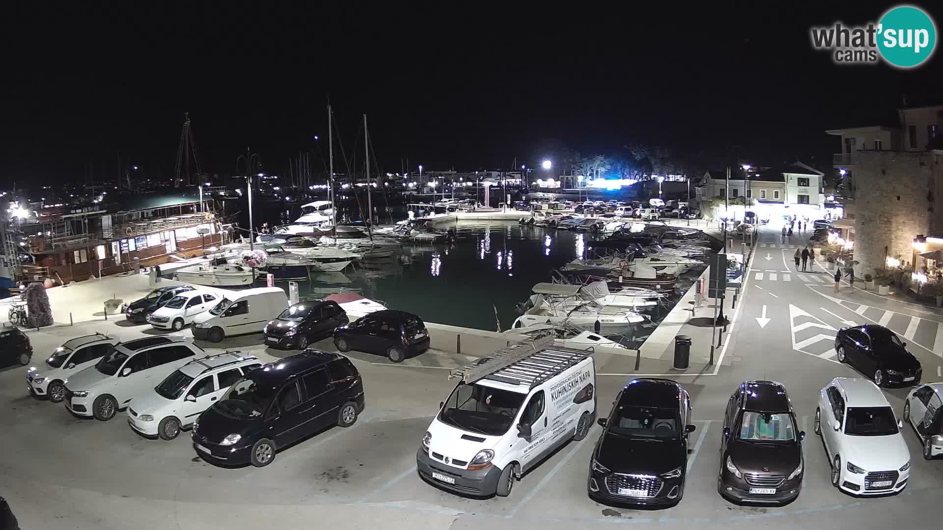 Novigrad | Porporela marina