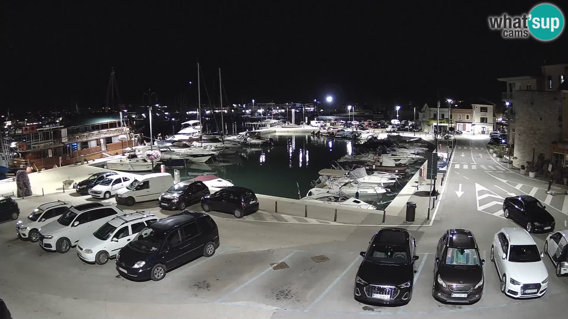 Novigrad | Porporela marina