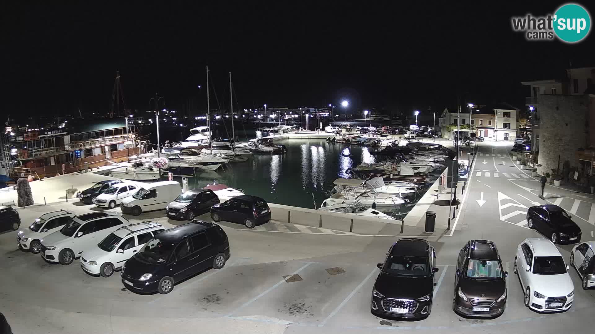 Novigrad | Porporela marina