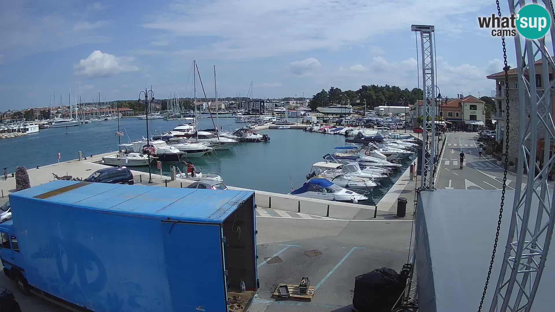 Novigrad | Porporela marina