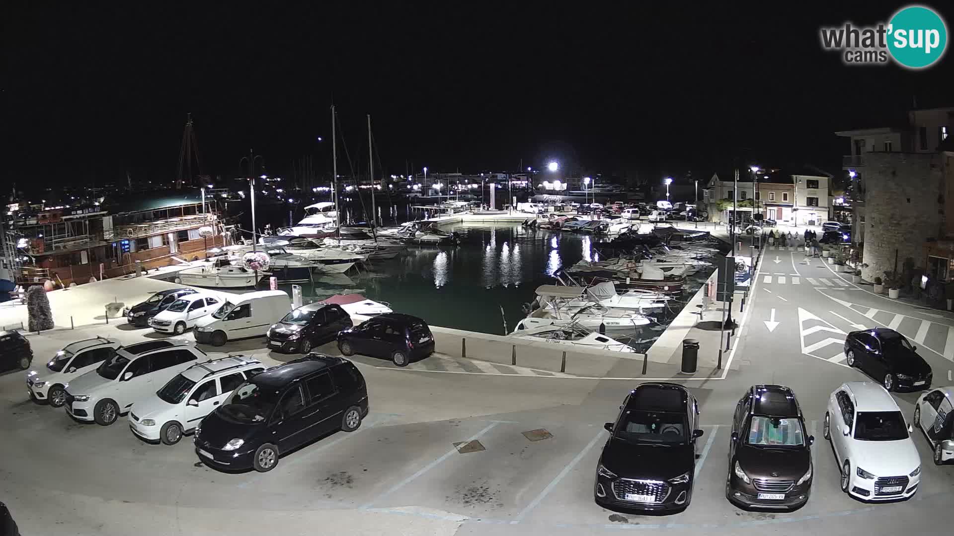 Novigrad | Porporela marina