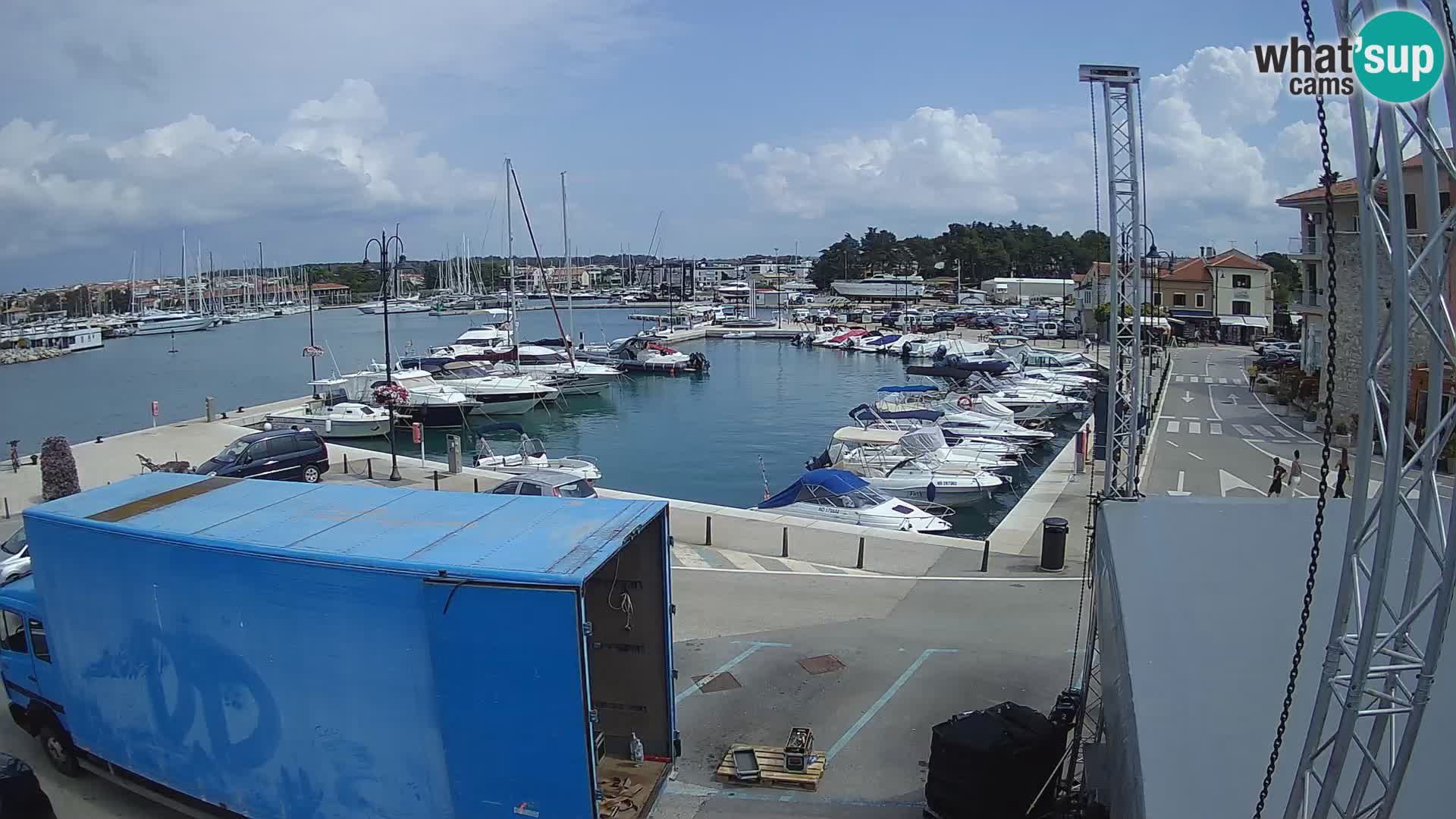 Novigrad | Porporela marina