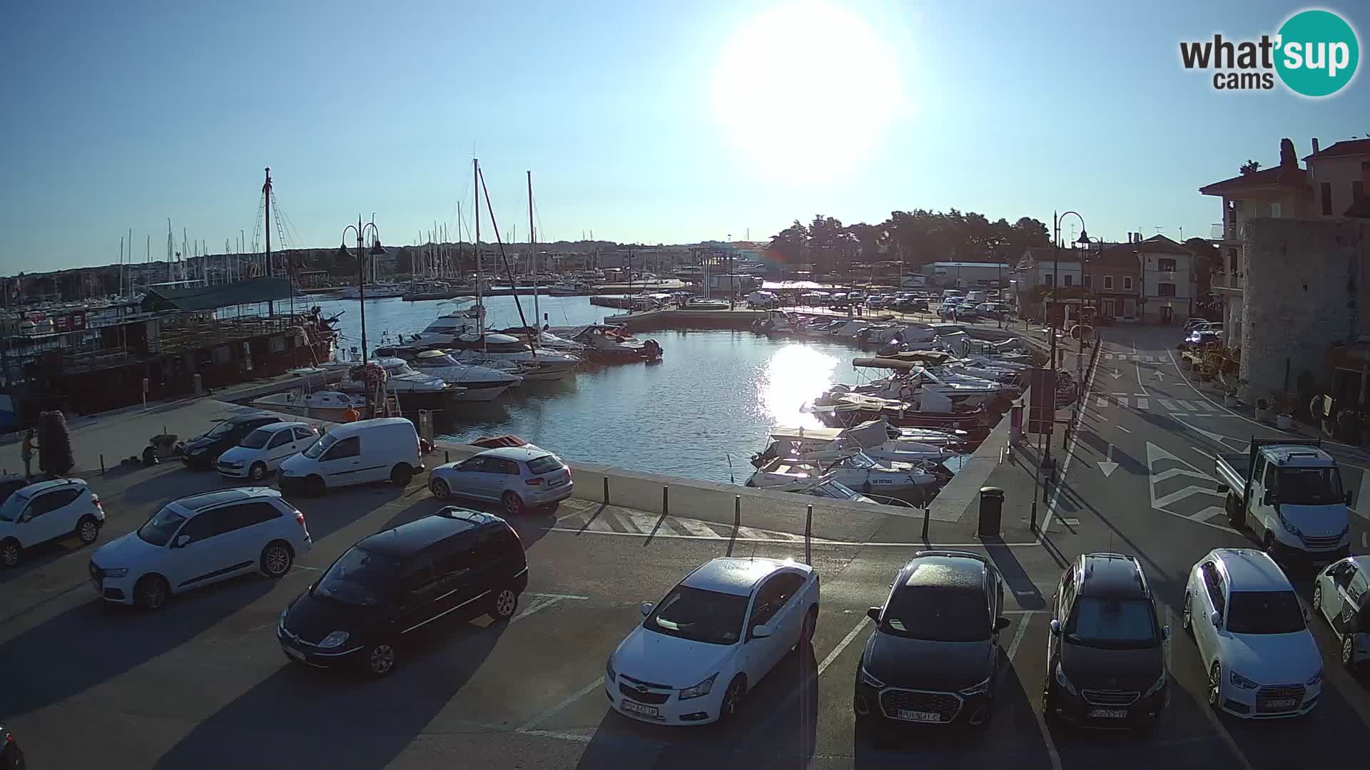 Novigrad | Porporela marina
