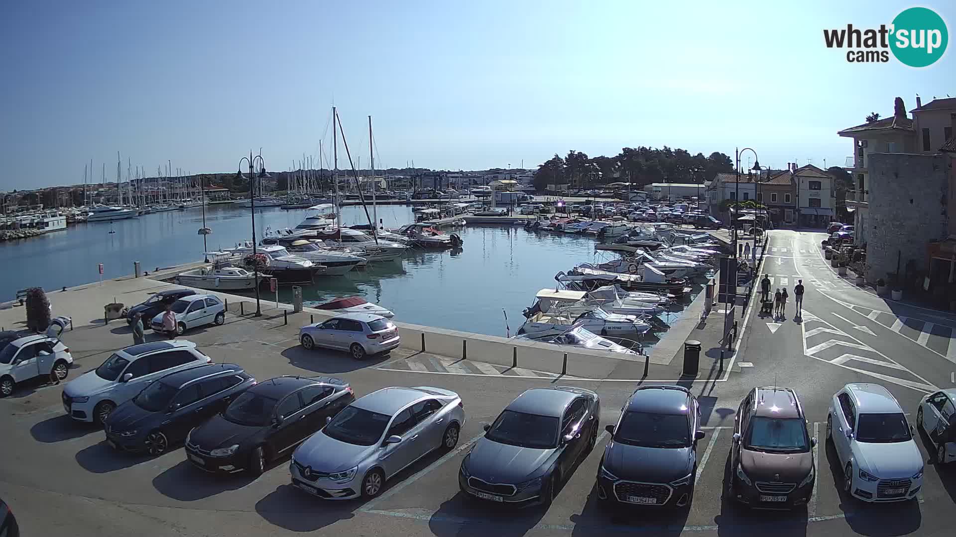 Novigrad | Porporela marina