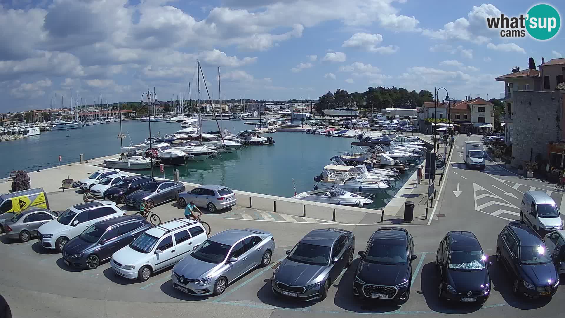 Novigrad | Porporela marina