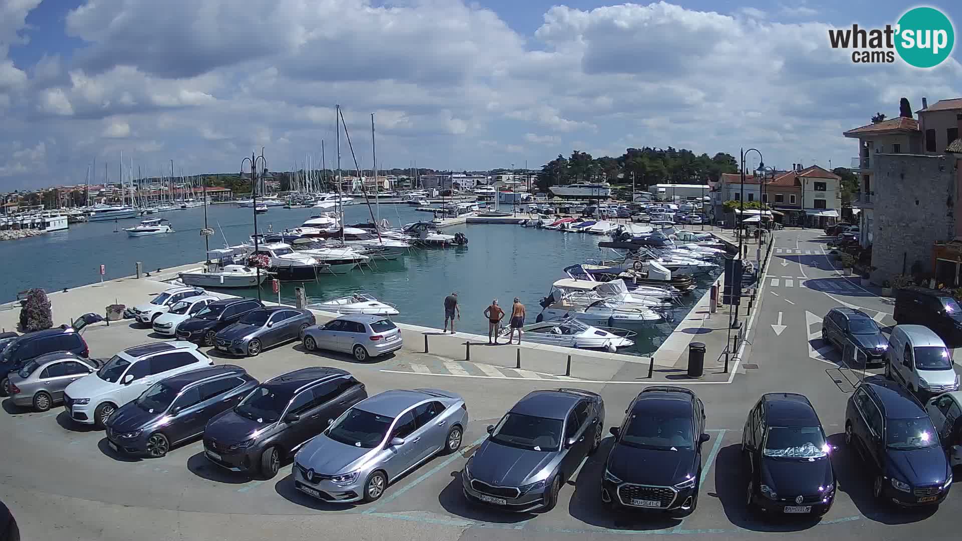 Novigrad | Porporela marina