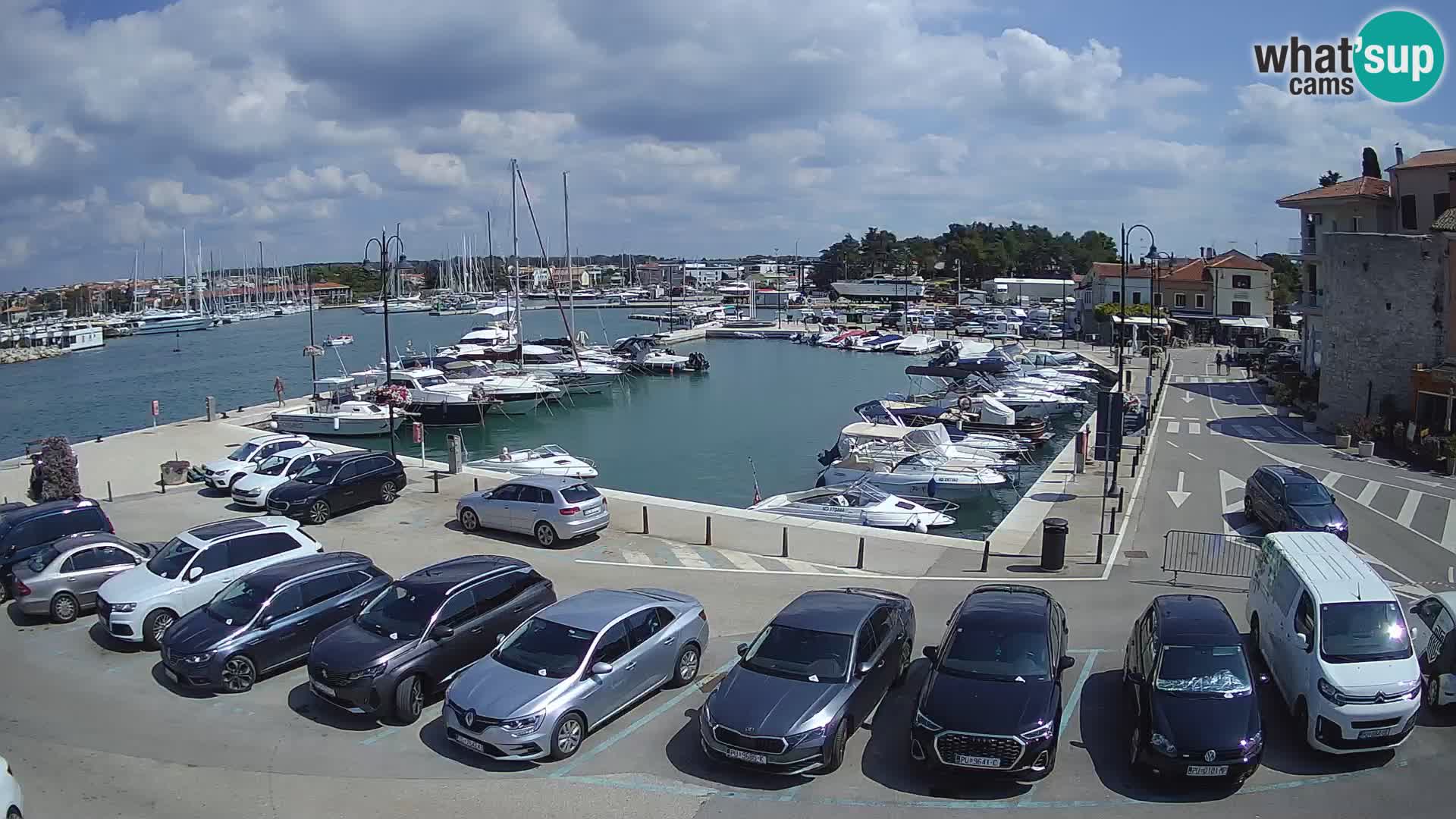 Novigrad | Porporela marina
