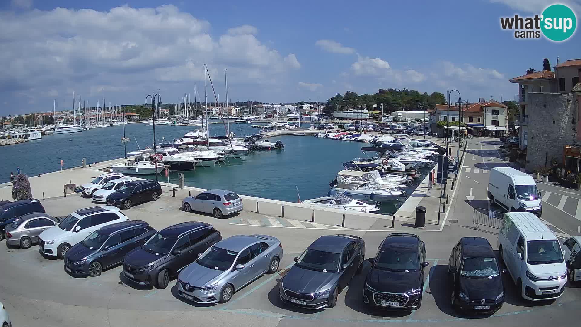 Novigrad | Porporela marina