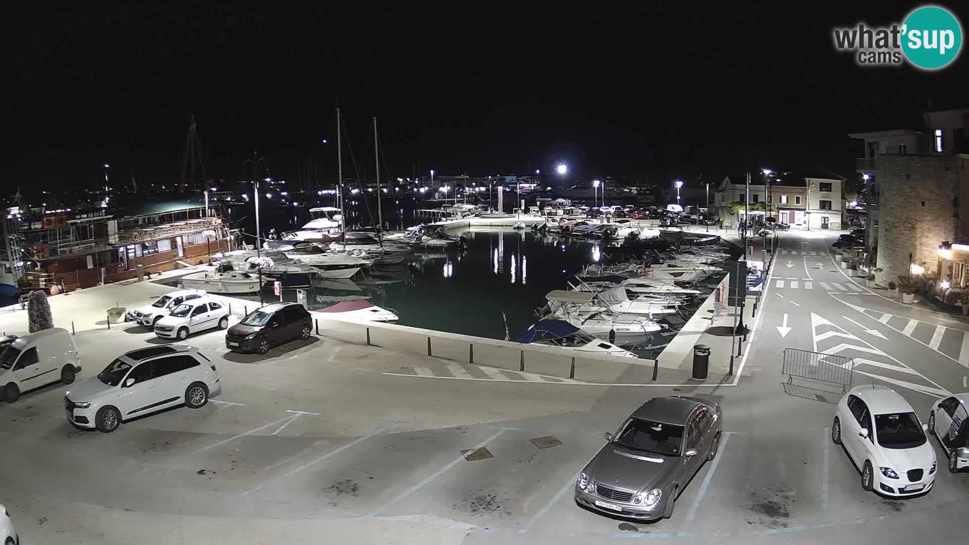 Novigrad | Porporela marina