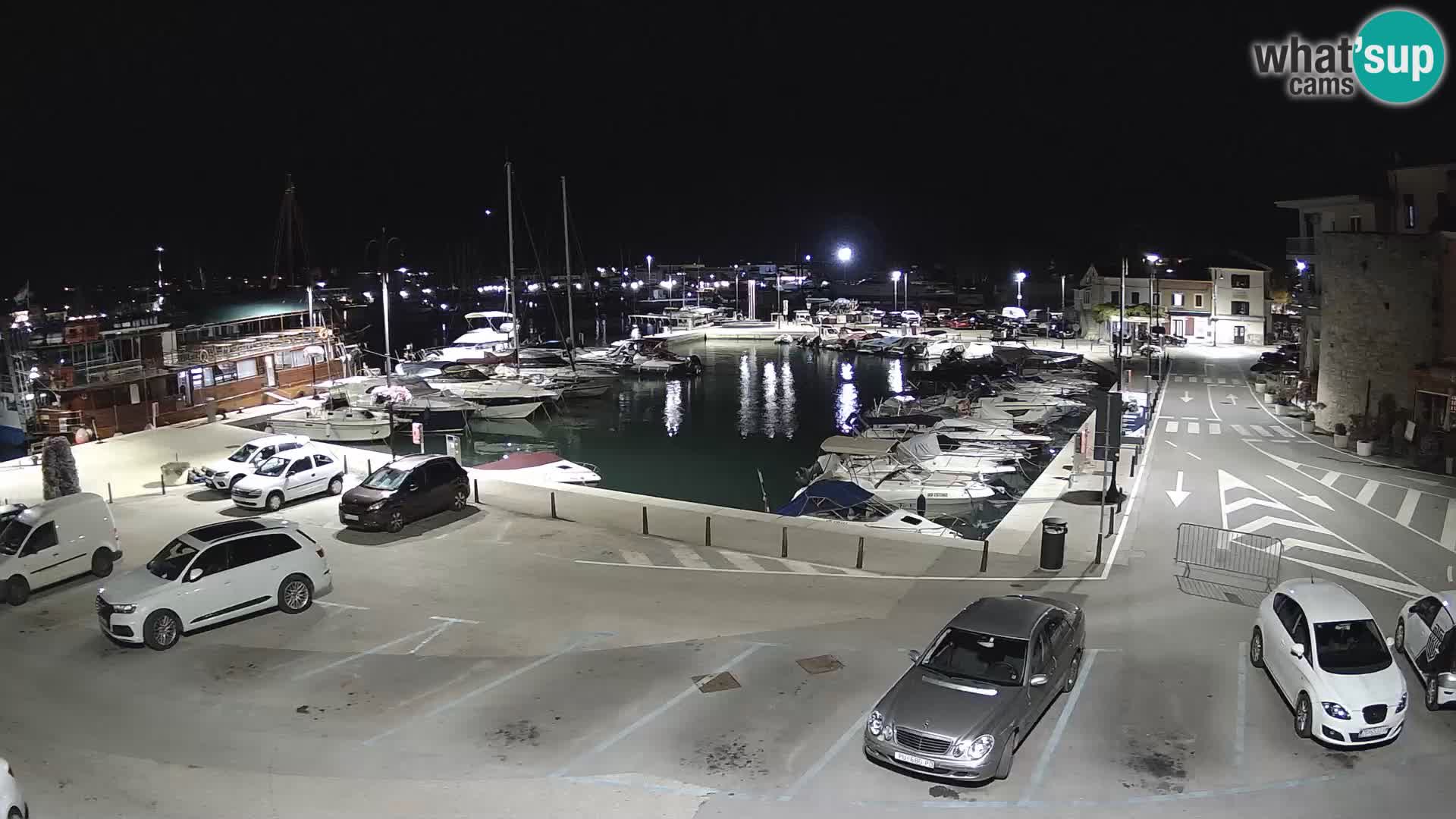 Novigrad | Porporela marina