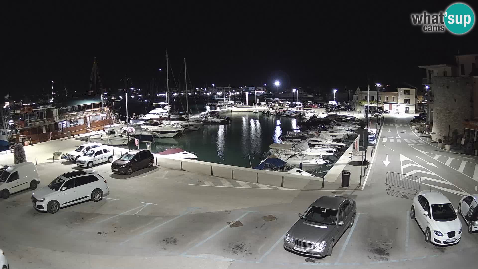 Novigrad | Porporela marina