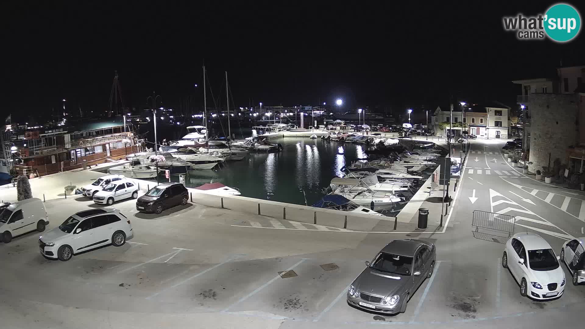 Novigrad | Porporela marina