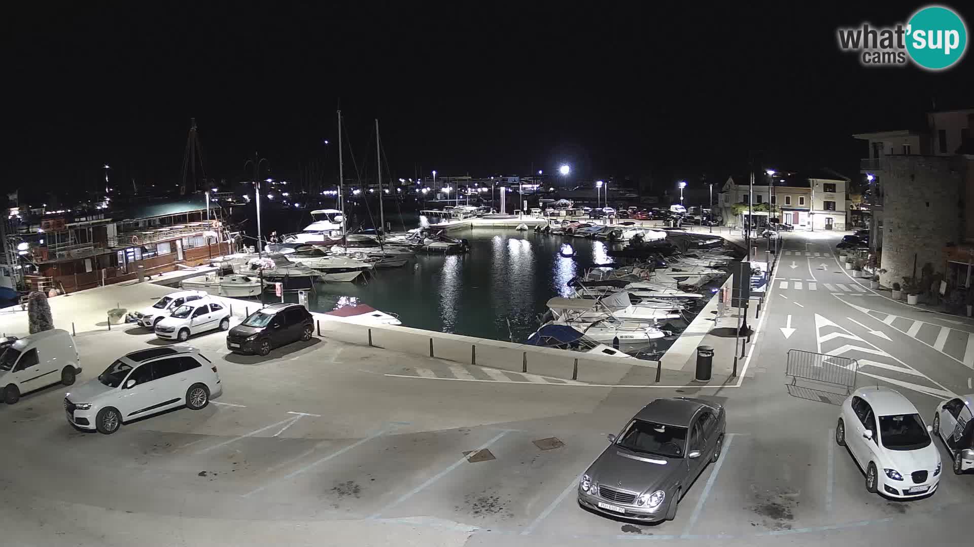 Novigrad | Porporela marina