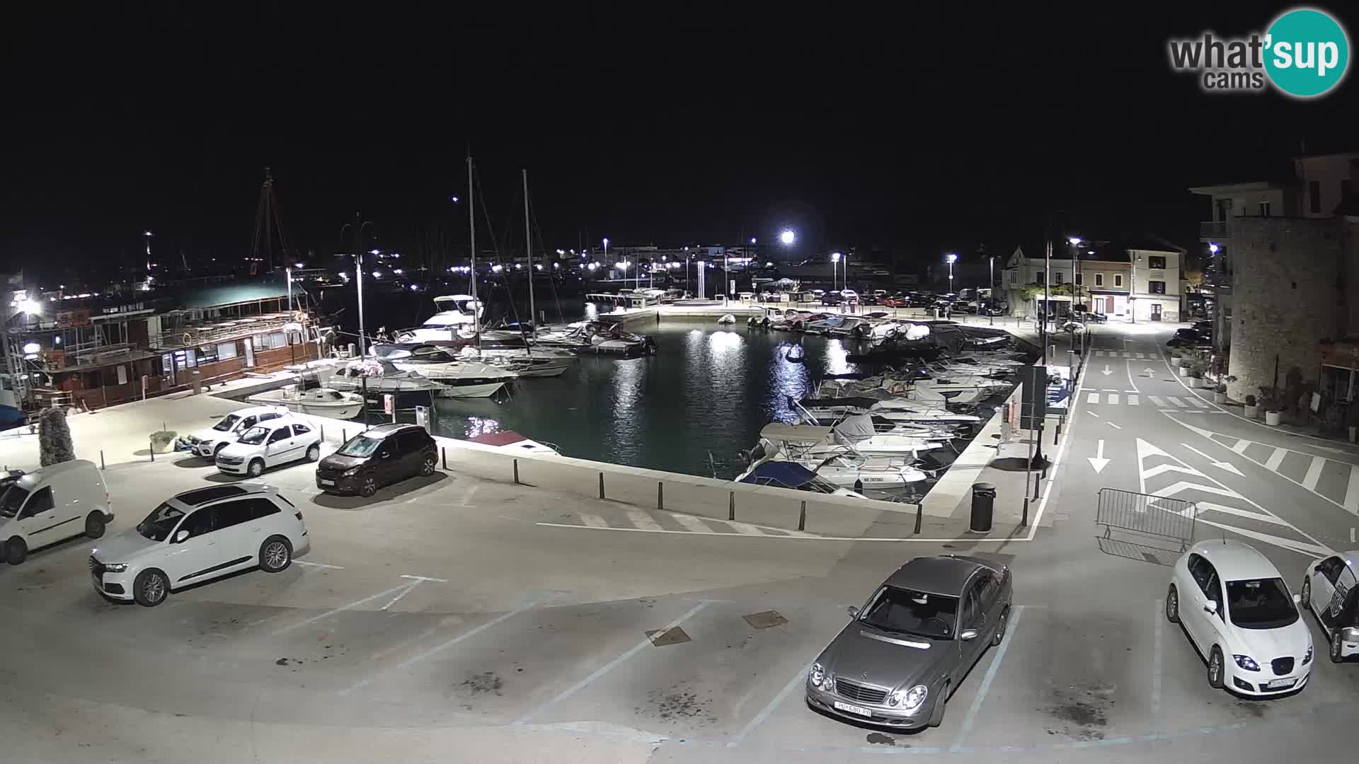 Novigrad | Porporela marina