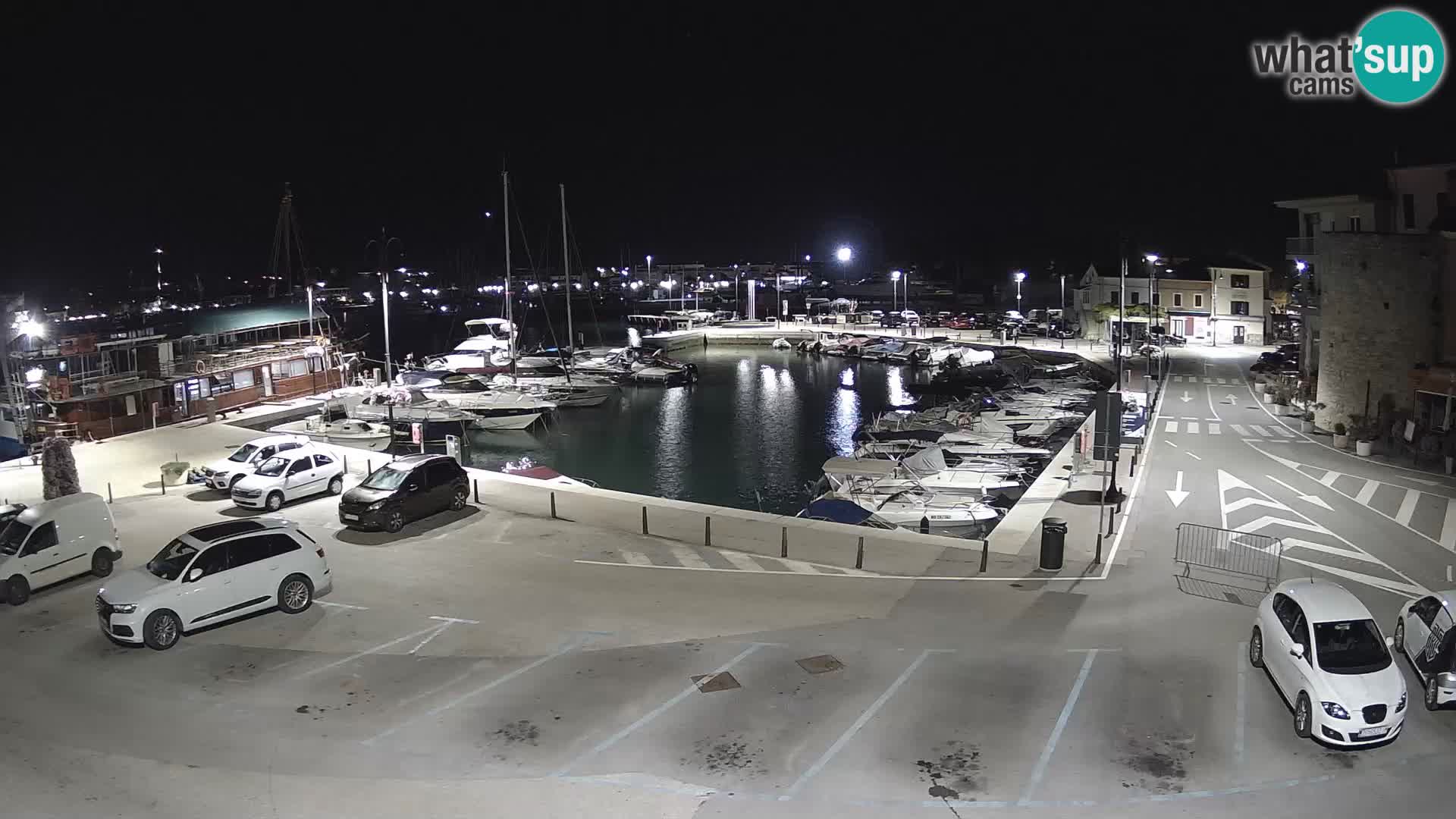 Novigrad | Porporela marina