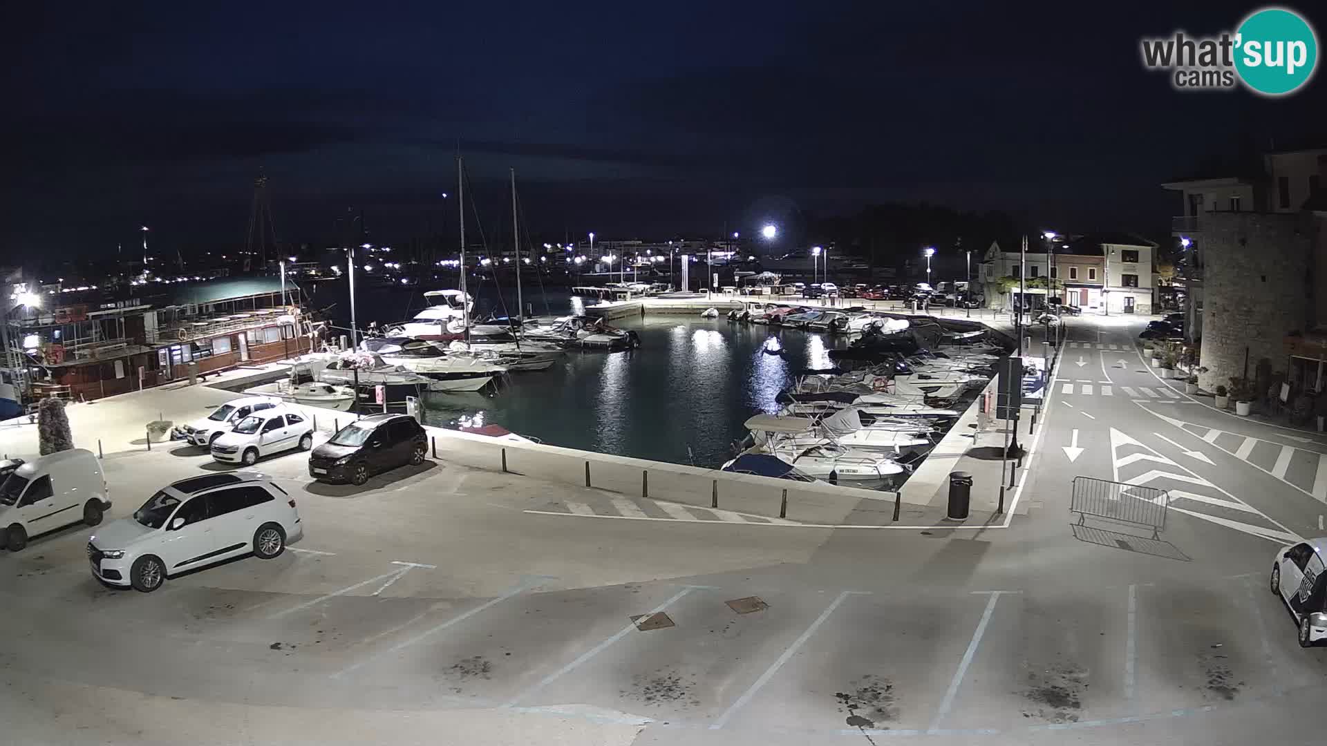 Novigrad | Porporela marina