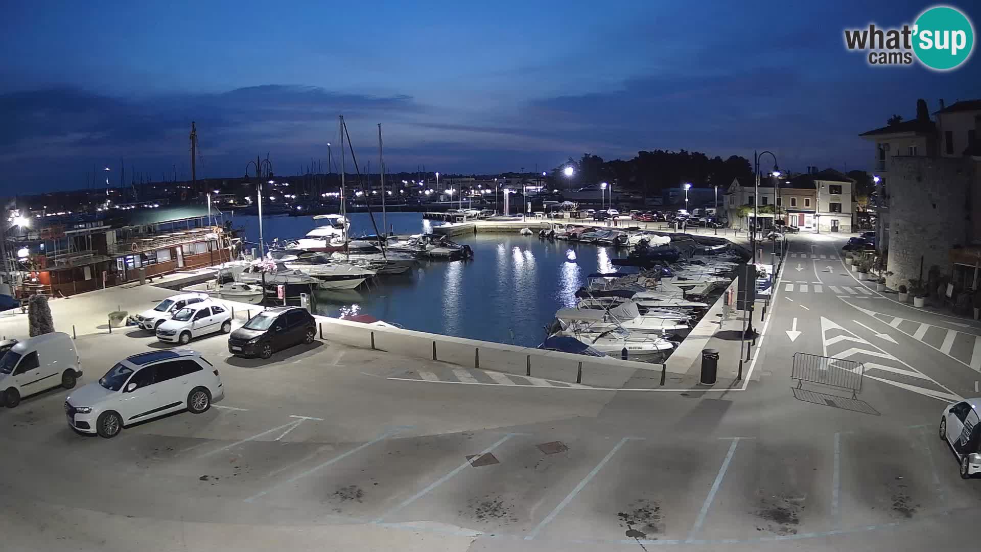 Novigrad | Porporela marina