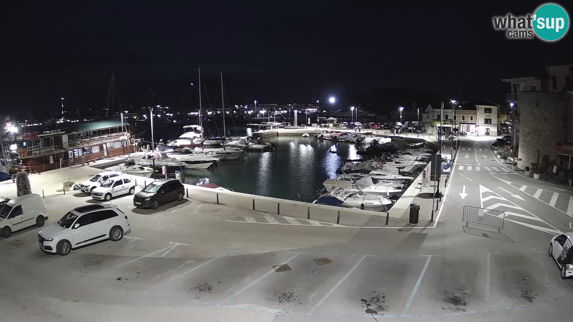 Novigrad | Porporela marina