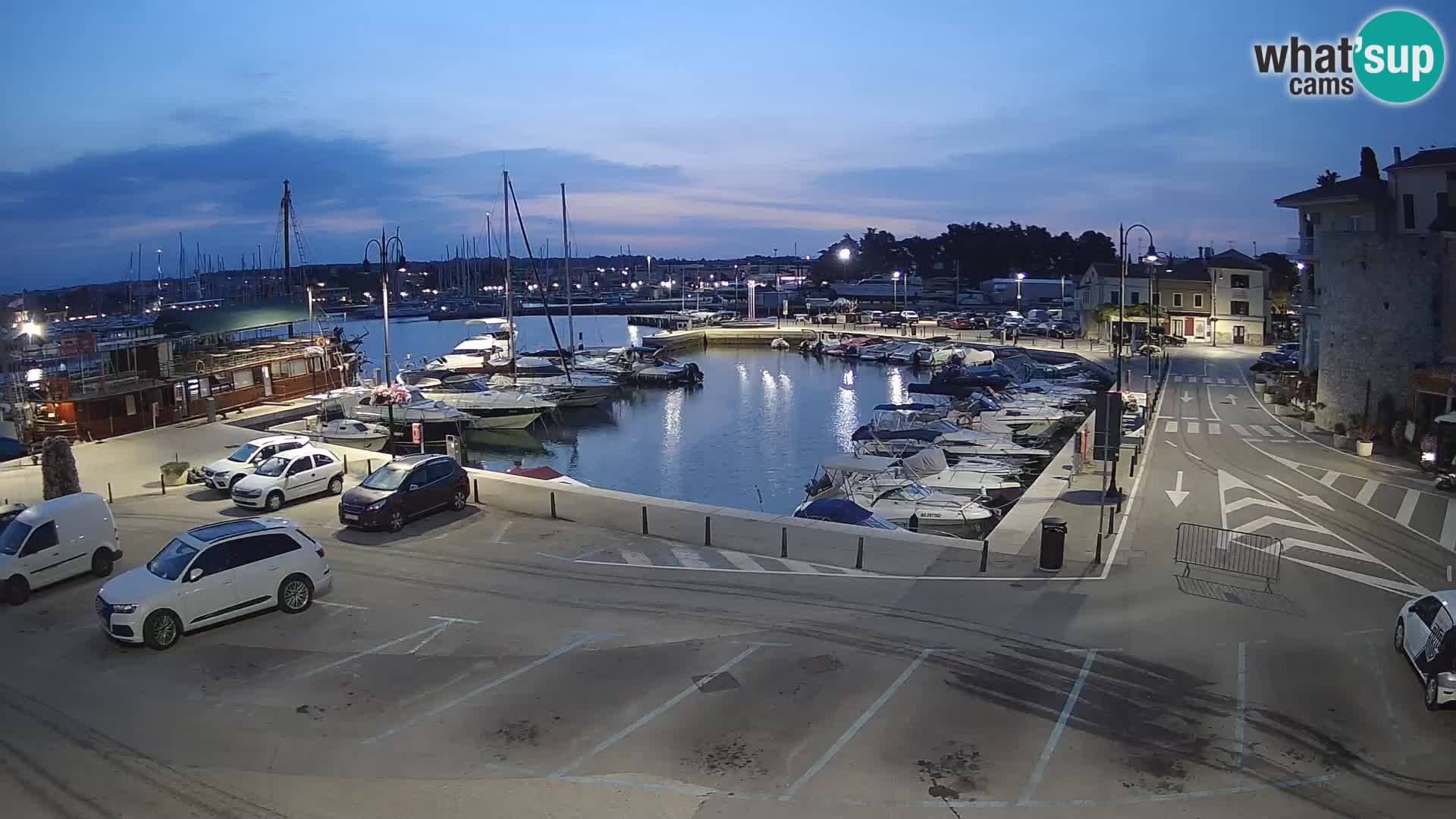 Novigrad | Porporela marina