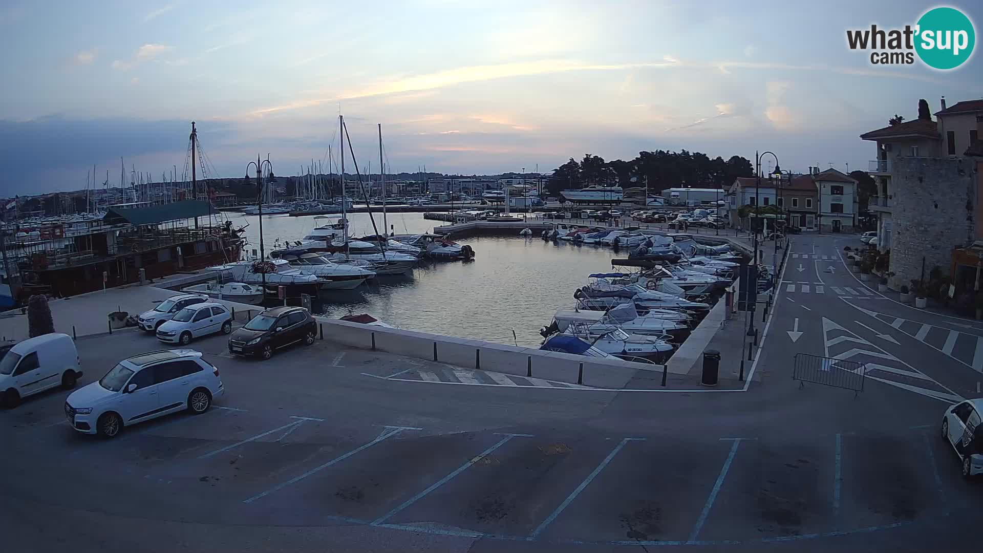 Novigrad | Porporela marina