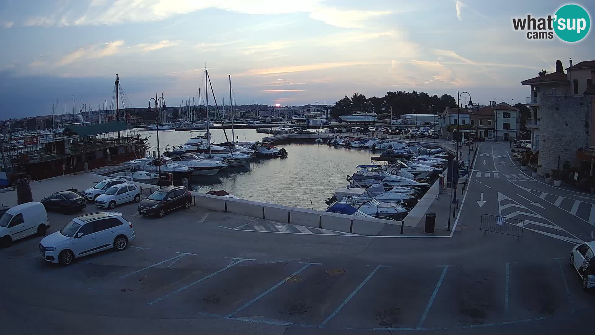 Novigrad | Porporela marina