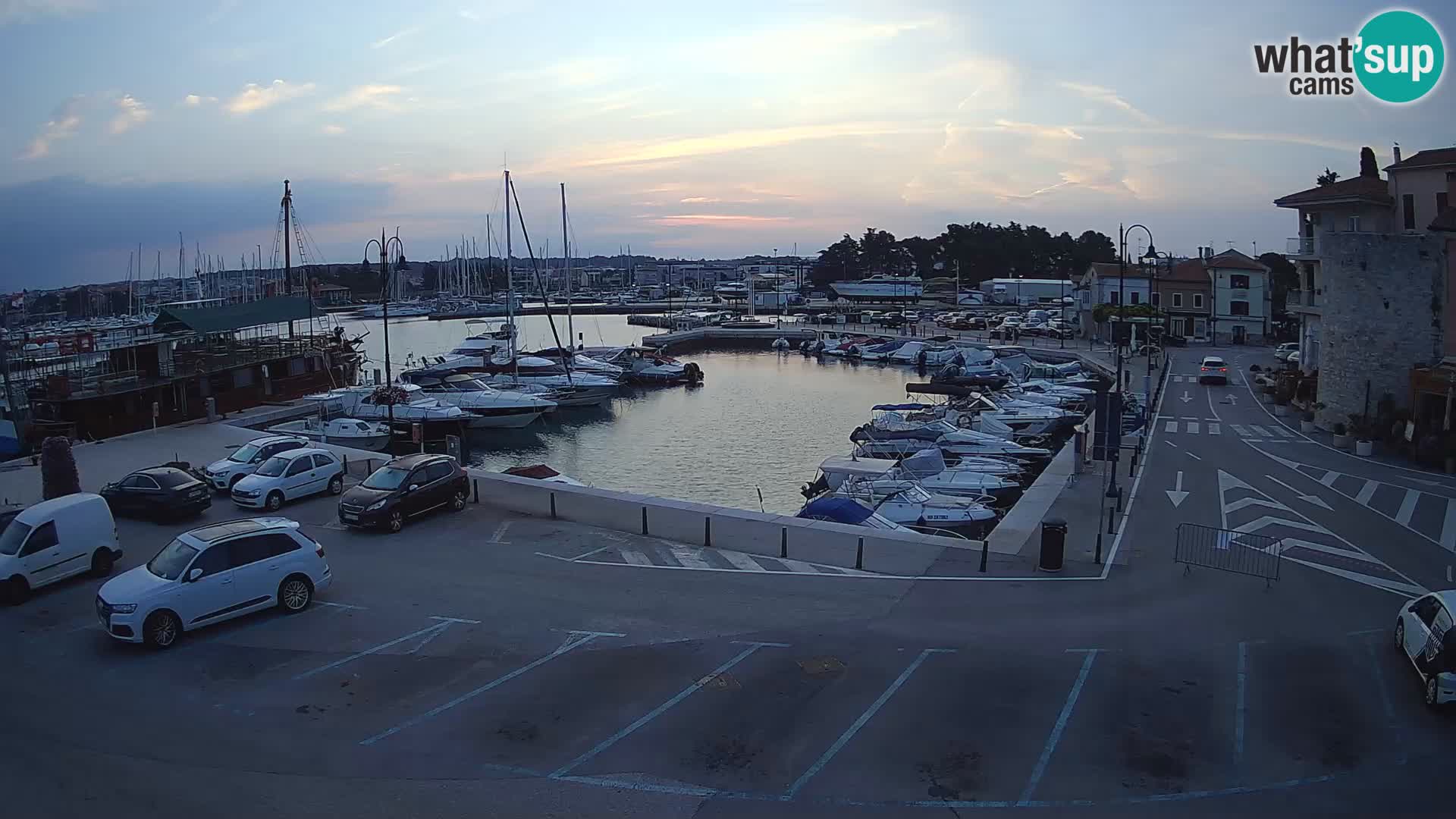 Novigrad | Porporela marina