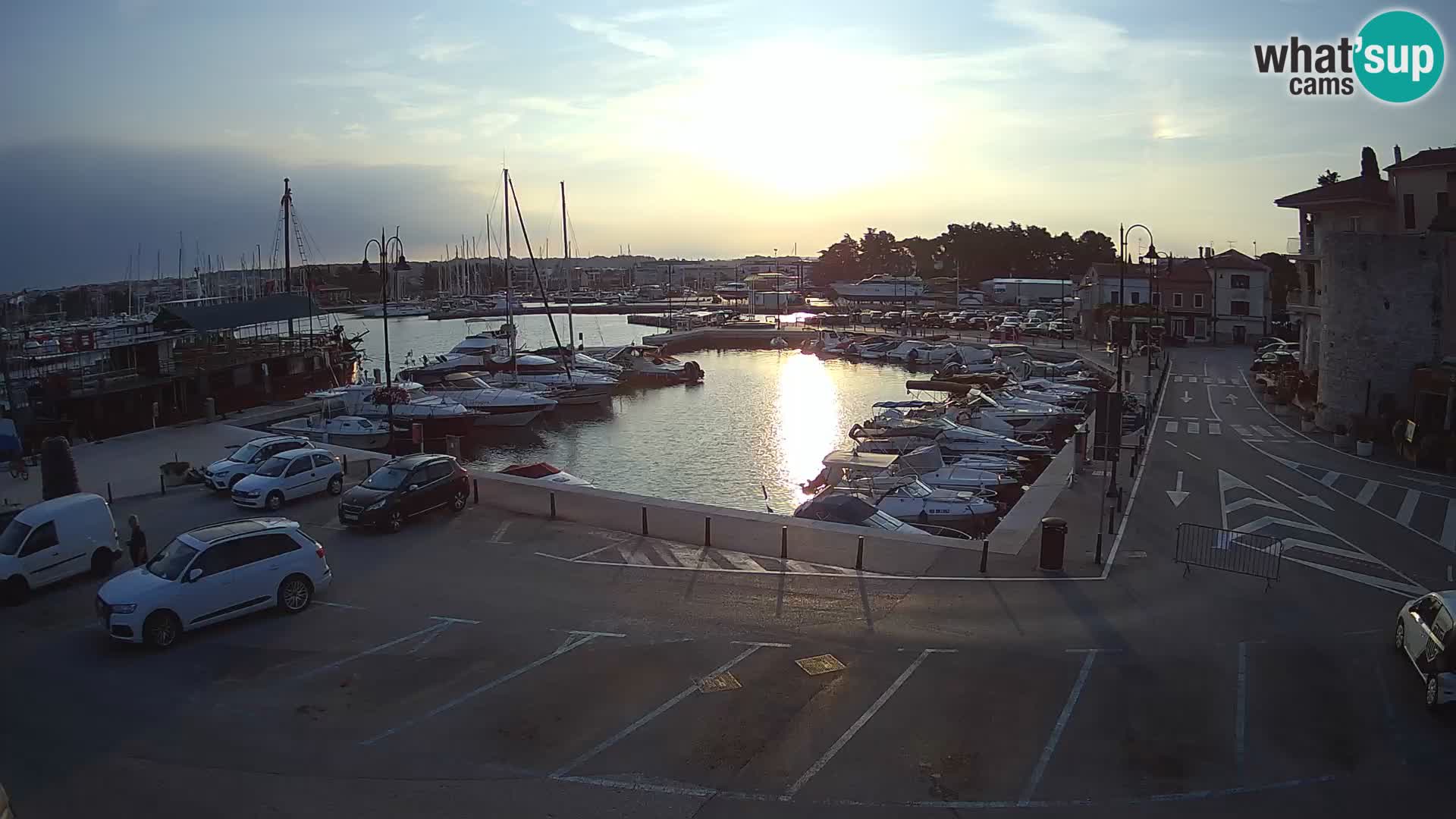 Novigrad | Porporela marina