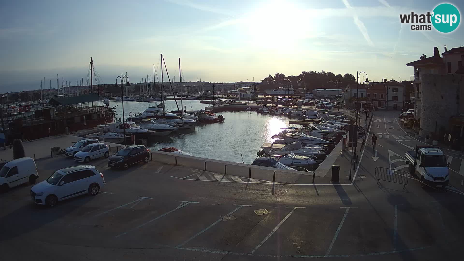 Novigrad | Porporela marina