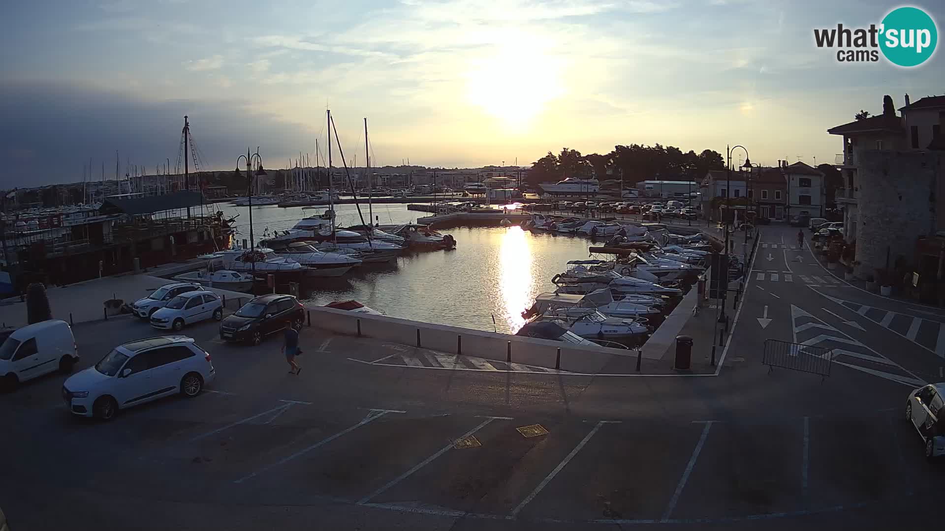 Novigrad | Porporela marina