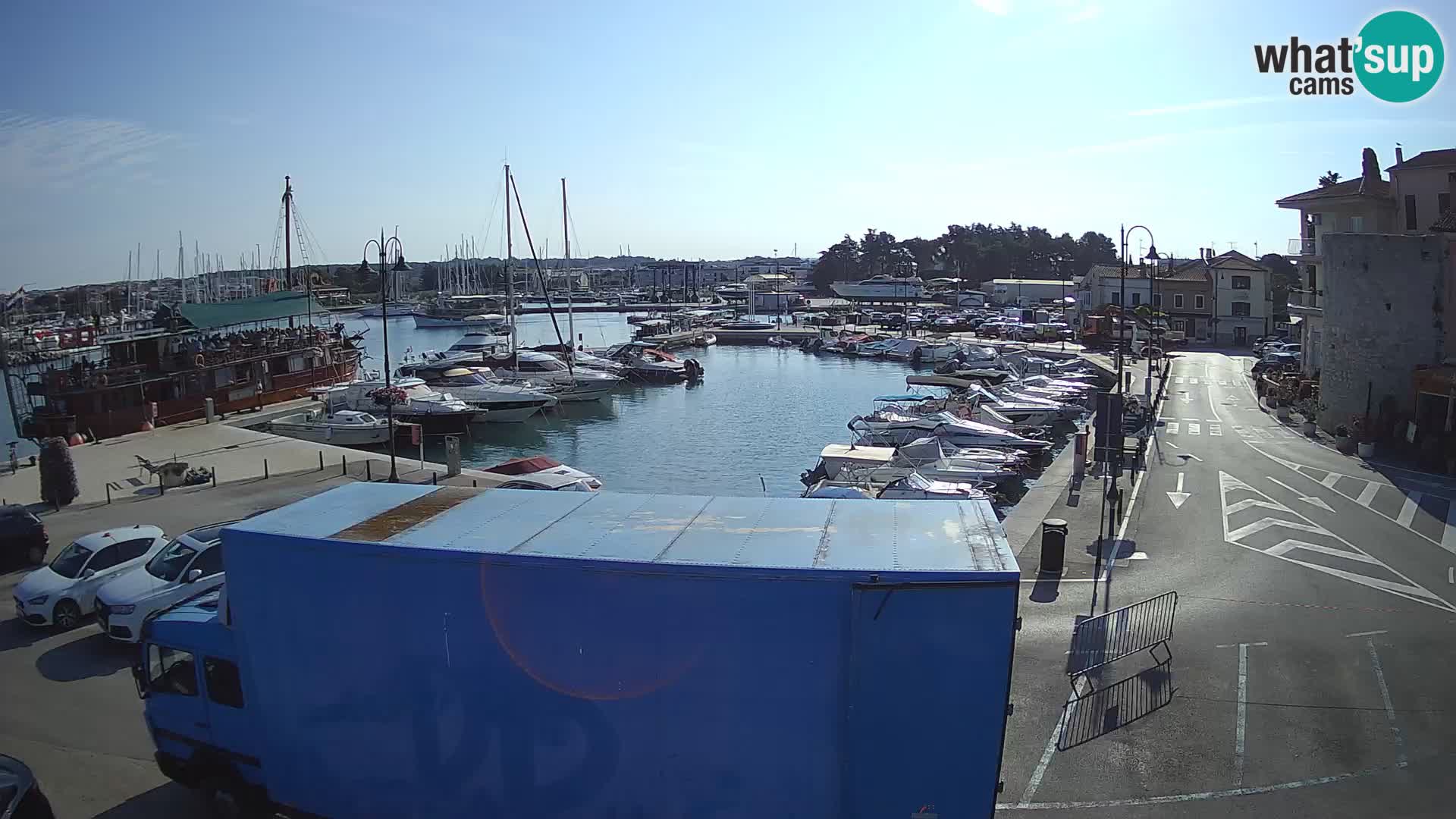 Novigrad | Porporela marina