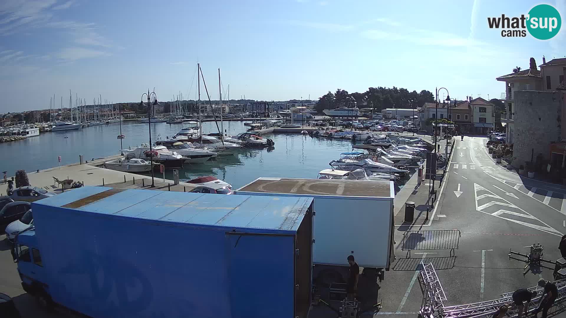 Novigrad | Porporela marina
