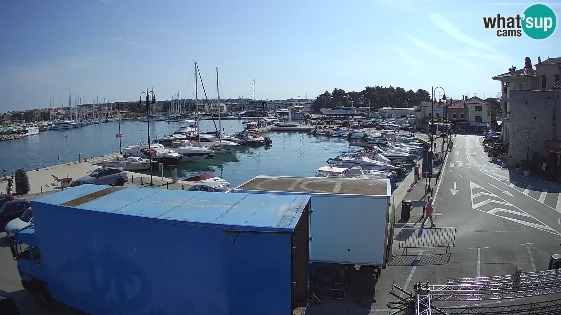 Novigrad | Porporela marina