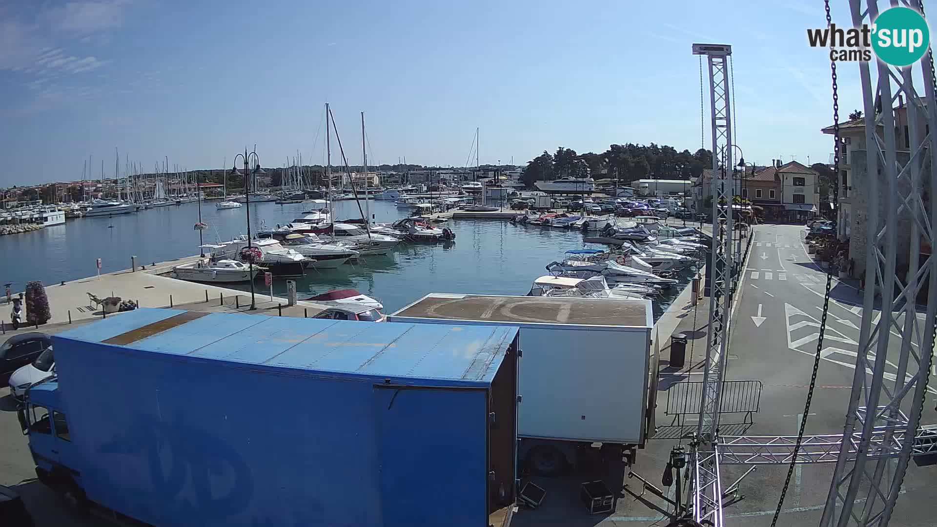 Novigrad | Porporela marina