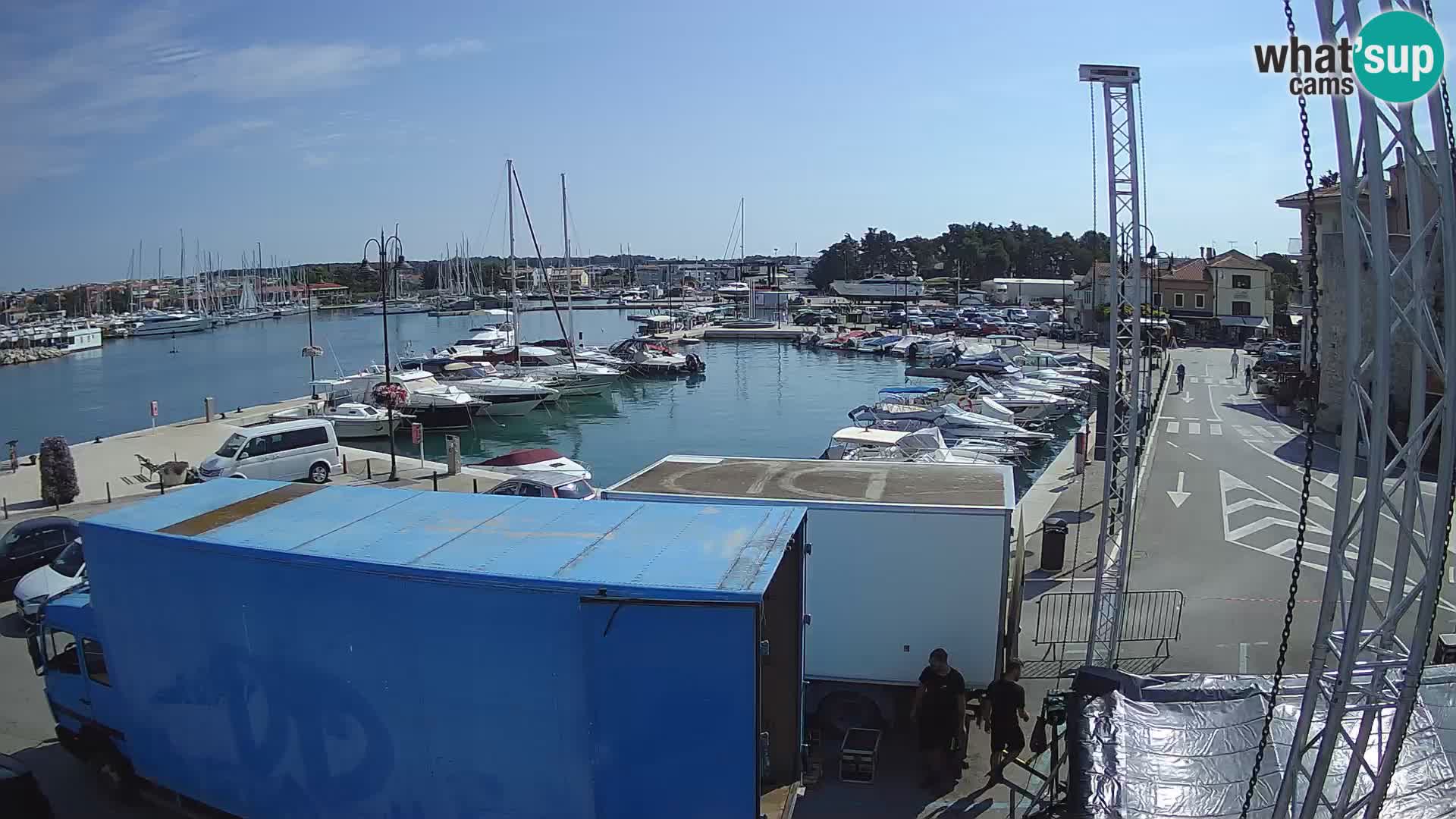 Novigrad | Porporela marina