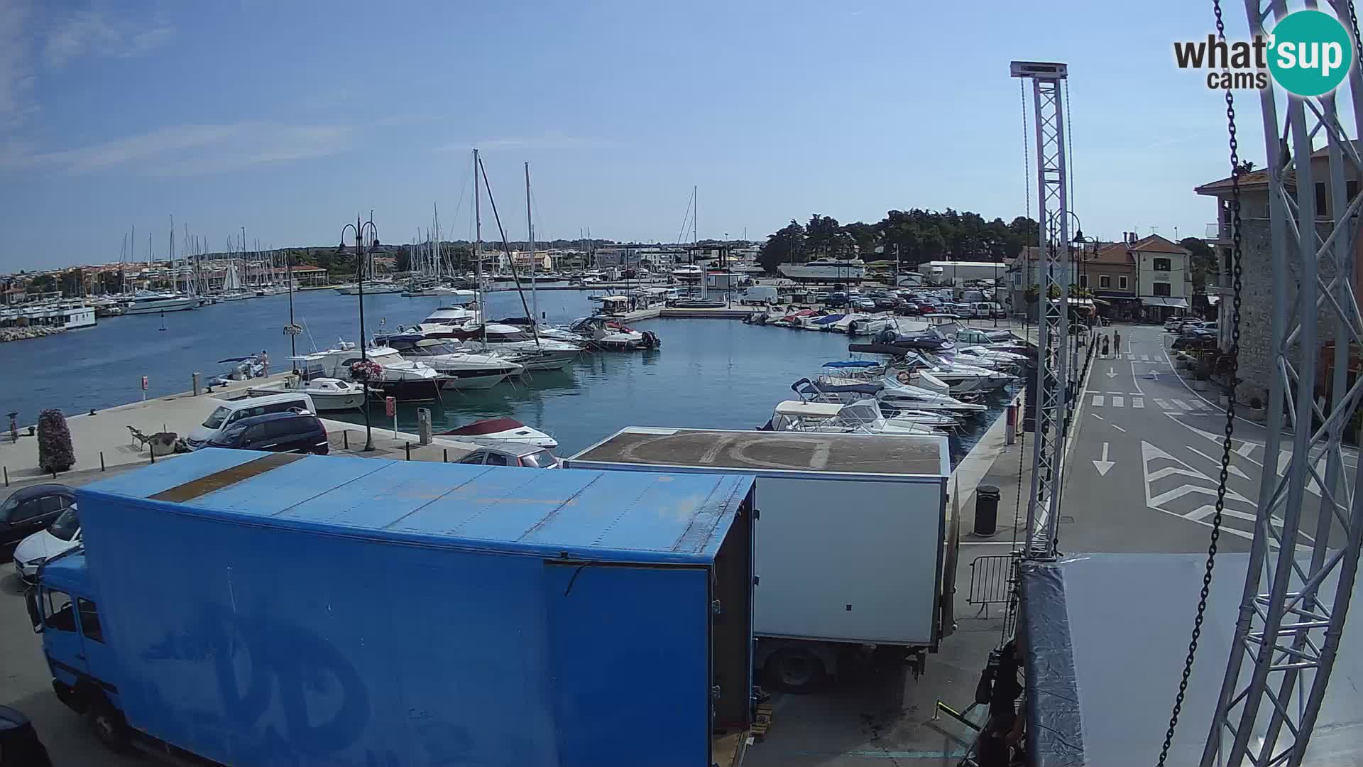 Novigrad | Porporela marina