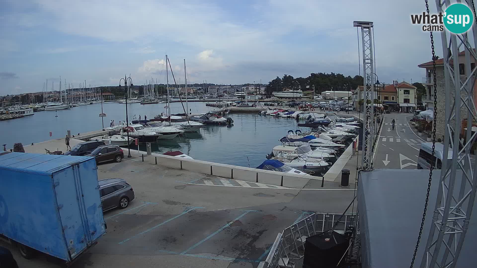 Novigrad | Porporela marina