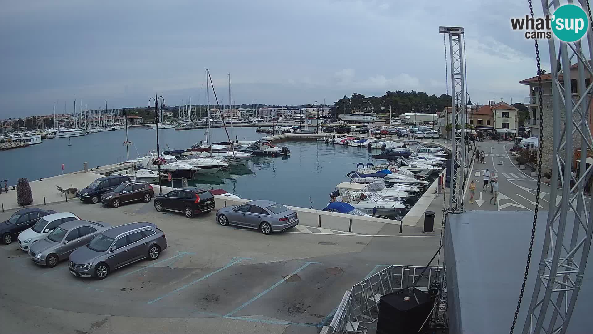 Novigrad | Porporela marina