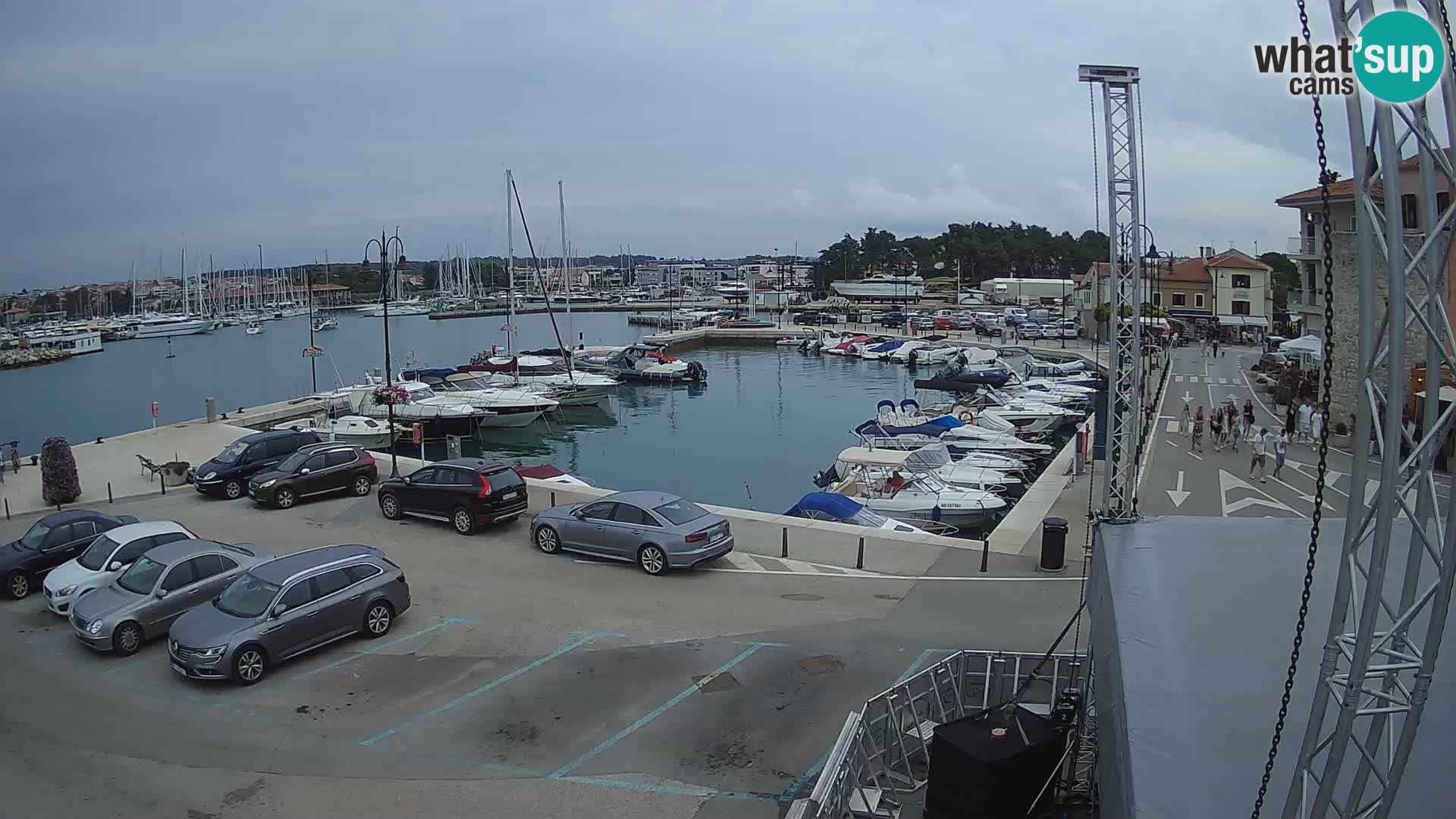 Novigrad | Porporela marina