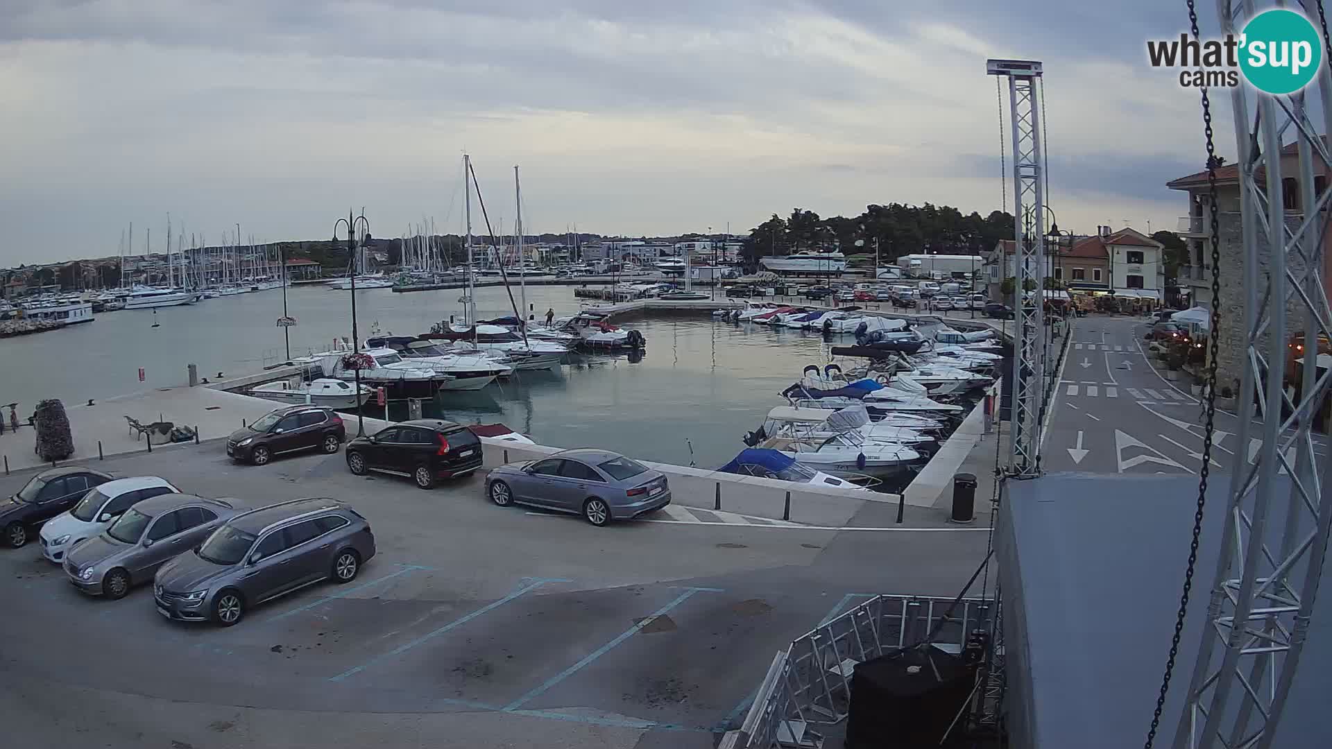 Novigrad | Porporela marina