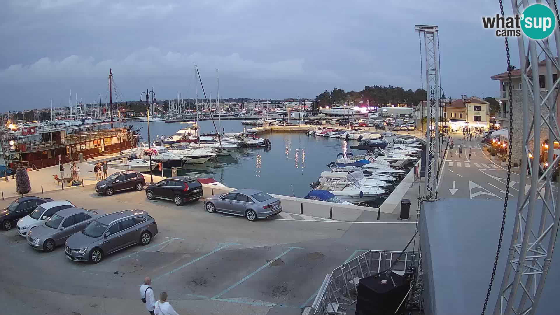 Novigrad | Porporela marina