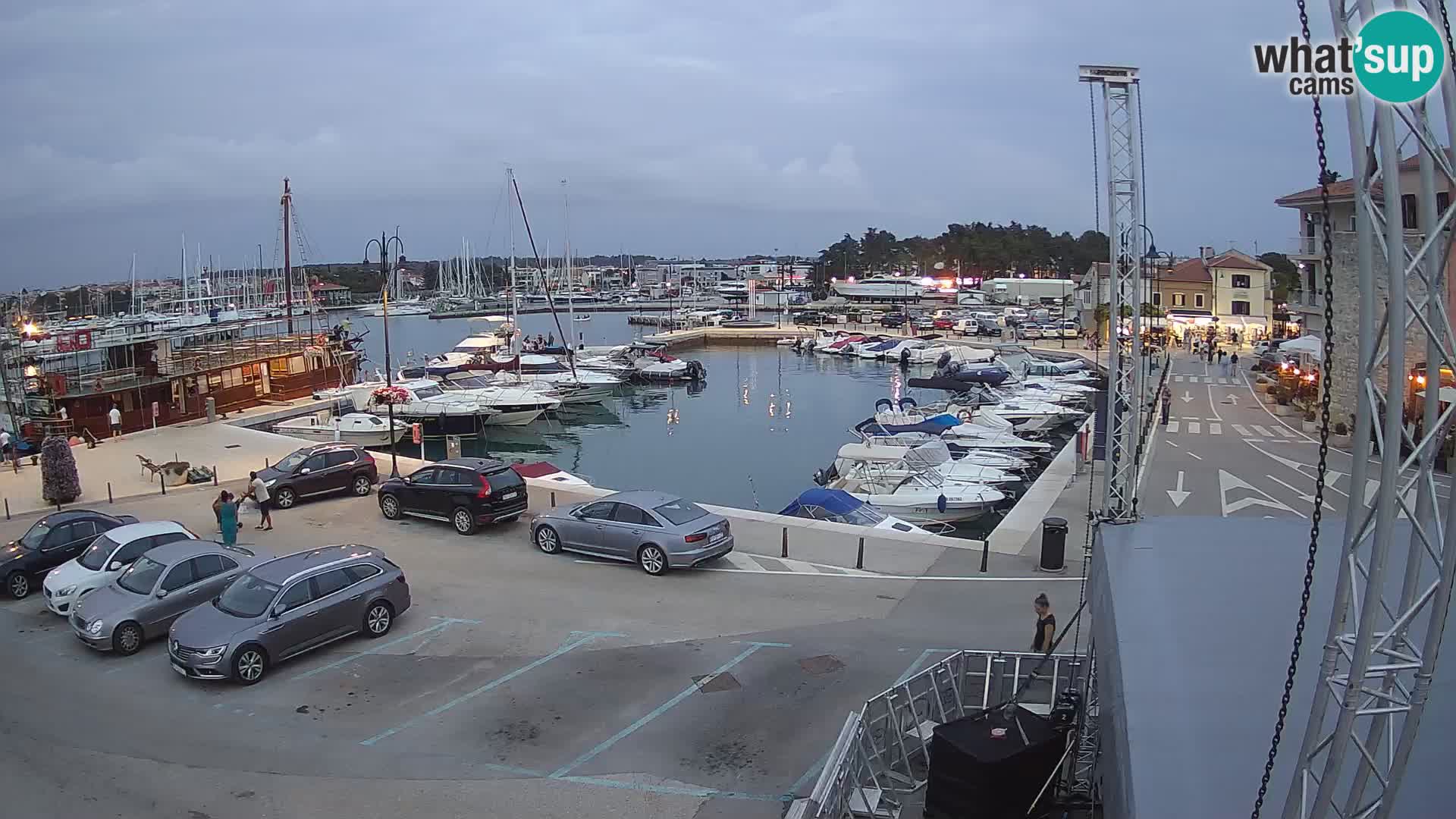 Novigrad | Porporela marina