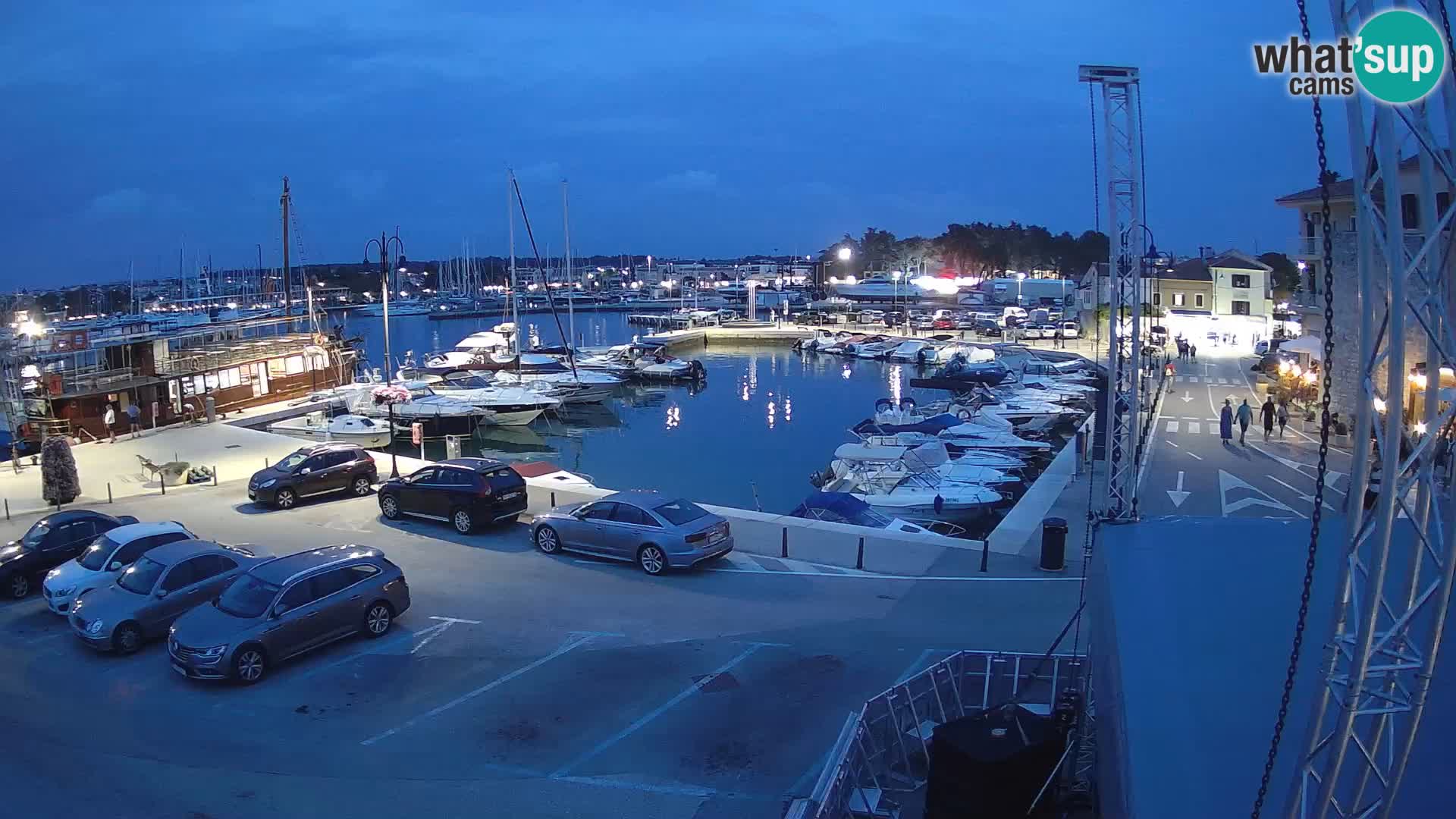 Novigrad | Porporela marina