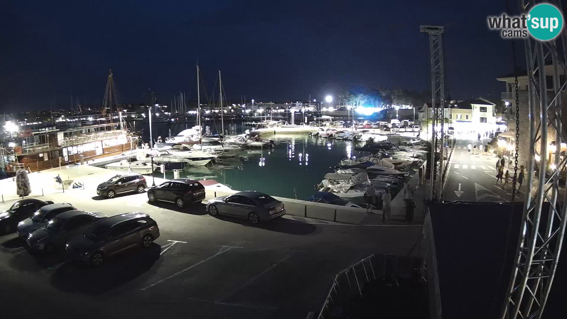 Novigrad | Porporela marina