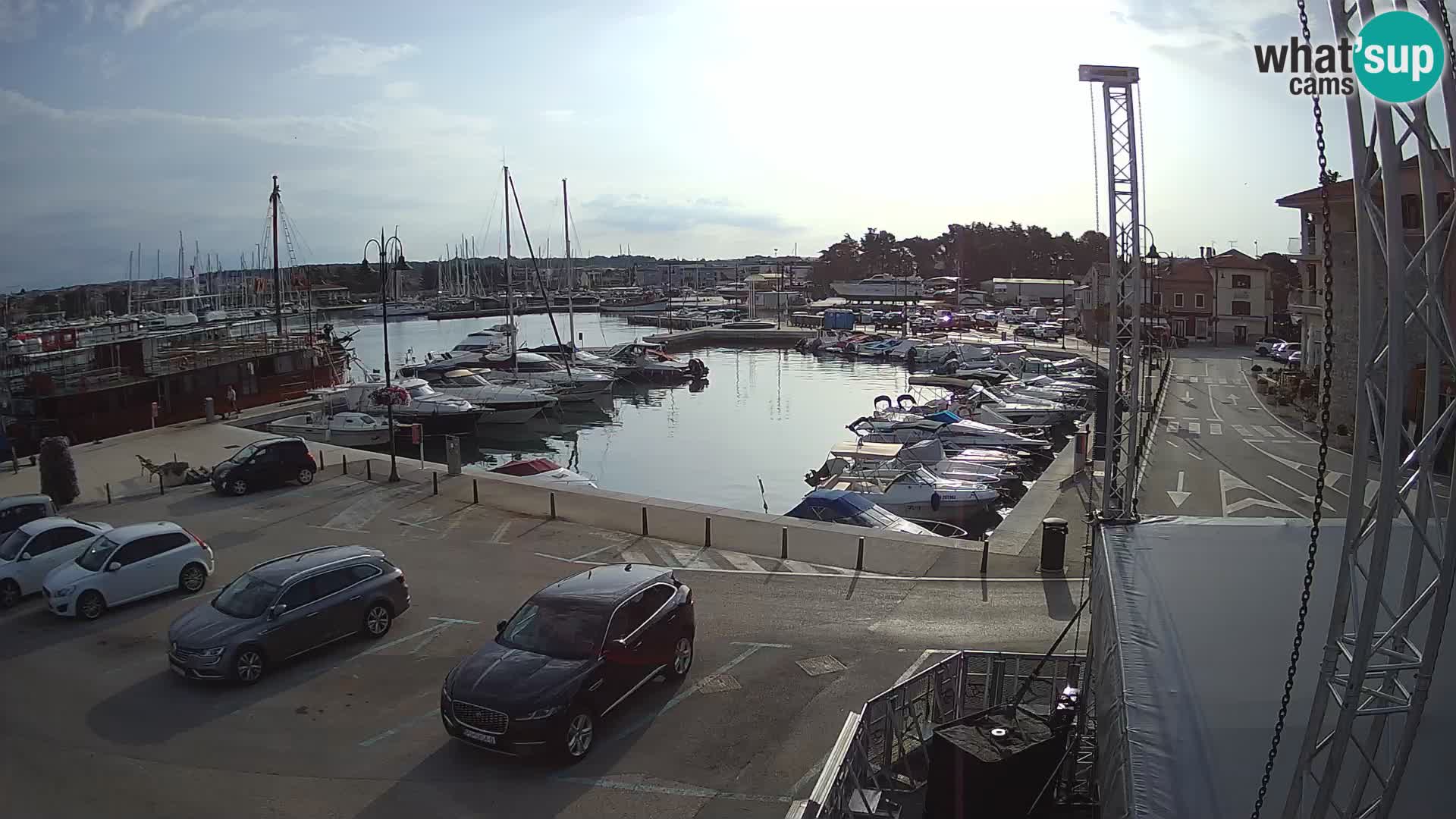 Novigrad | Porporela marina
